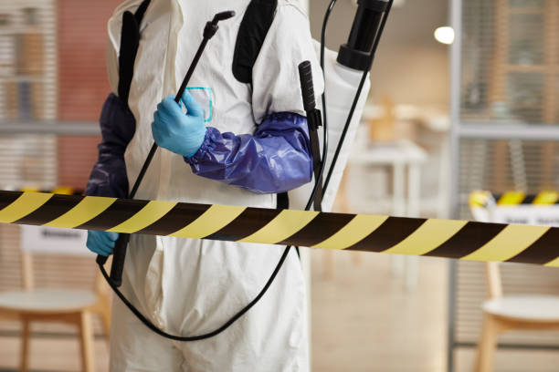 Professional Sewage Cleanup technician working in Lincoln, IL